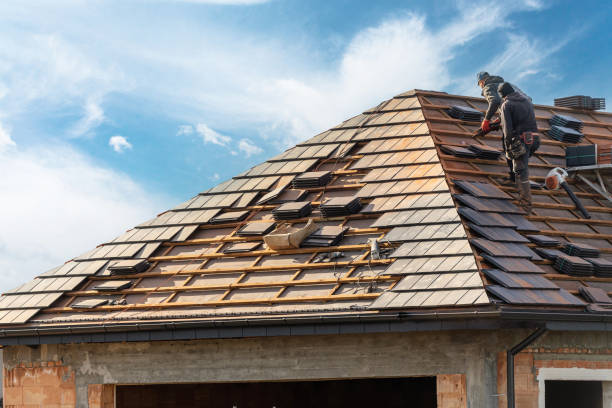 Best Skylight Installation and Repair  in Watergate, FL